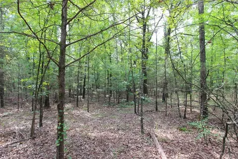 226 Blythe Rd, Greenbrier, AR 72058 photo 40