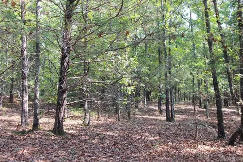 226 Blythe Rd, Greenbrier, AR 72058 photo 14