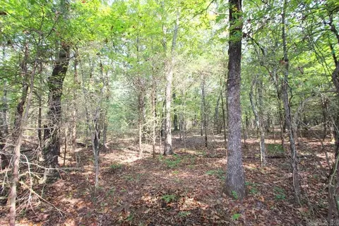 226 Blythe Rd, Greenbrier, AR 72058 photo 9