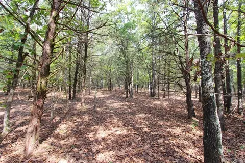 226 Blythe Rd, Greenbrier, AR 72058 photo 33