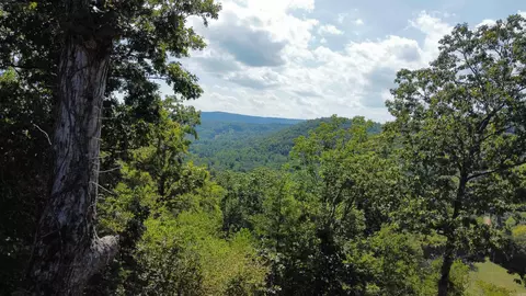 View/Area - 912 Double Bridge Loop, Mountain View, AR 72560 photo 4 of 6