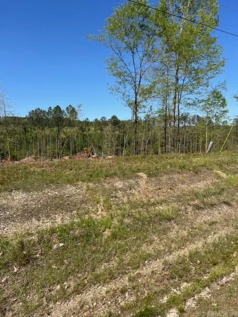 tbd Hwy 84, Bismarck, AR 71929