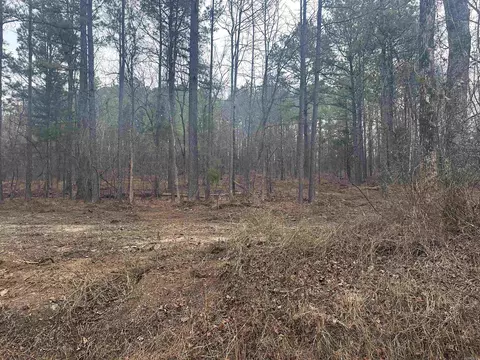 tbd Bob Hall Rd, Donaldson, AR 71941 photo 4