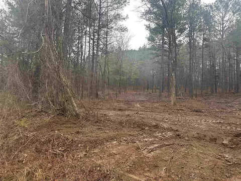 tbd Bob Hall Rd, Donaldson, AR 71941 photo 3