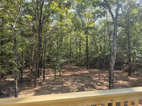 43 Sky Eagle Dr, Greenbrier, AR 72058 photo 20