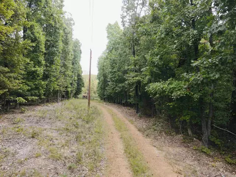 420 Persimmon Dr, Marshall, AR 72650 photo 7