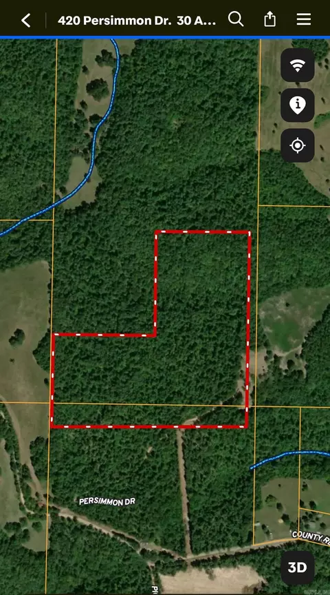 420 Persimmon Dr, Marshall, AR 72650 photo 4