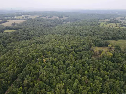 420 Persimmon Dr, Marshall, AR 72650 photo 8