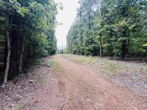 420 Persimmon Dr, Marshall, AR 72650 photo 2