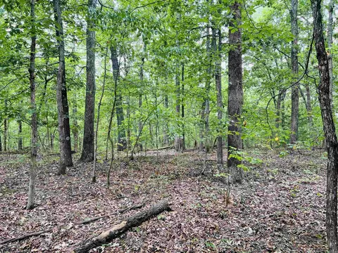 420 Persimmon Dr, Marshall, AR 72650 photo 3