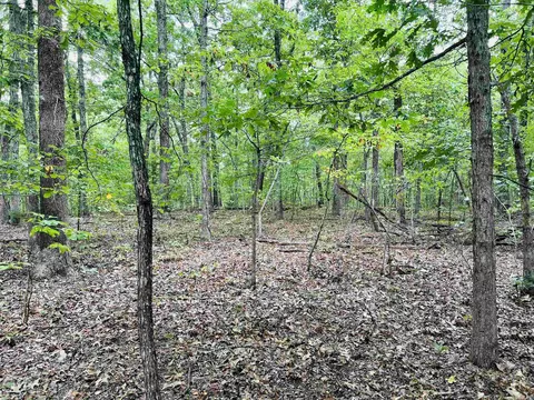 420 Persimmon Dr, Marshall, AR 72650 photo 11