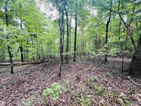 420 Persimmon Dr, Marshall, AR 72650 photo 9