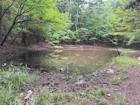 Other - 1499 Sutterfield Rd, Fox, AR 72051 photo 10 of 10