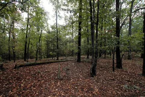 000 Charton Rd, Plumerville, AR 72127 photo 35