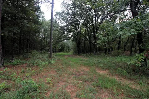 000 Charton Rd, Plumerville, AR 72127 photo 18