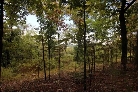 000 Charton Rd, Plumerville, AR 72127 photo 40