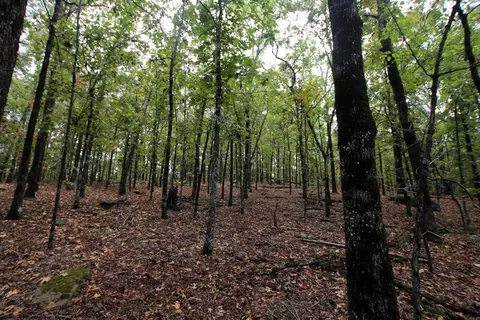 000 Charton Rd, Plumerville, AR 72127 photo 39