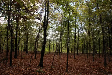 000 Charton Rd, Plumerville, AR 72127 photo 37
