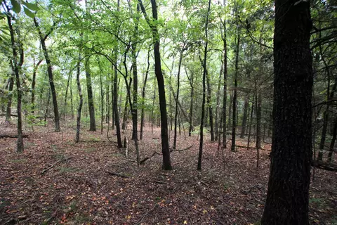 000 Charton Rd, Plumerville, AR 72127 photo 47