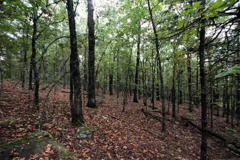 000 Charton Rd, Plumerville, AR 72127 photo 30
