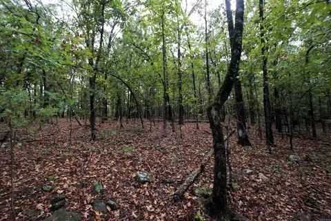 000 Charton Rd, Plumerville, AR 72127 photo 38