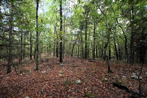 000 Charton Rd, Plumerville, AR 72127 photo 46