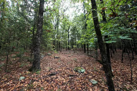 000 Charton Rd, Plumerville, AR 72127 photo 42