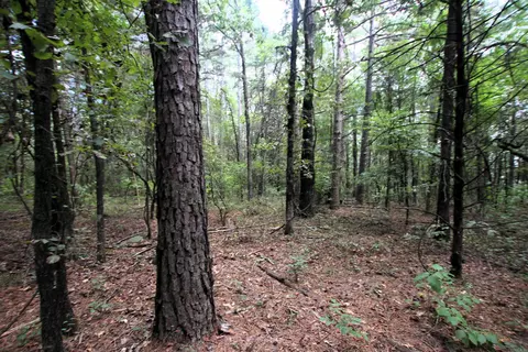 000 Charton Rd, Plumerville, AR 72127 photo 48