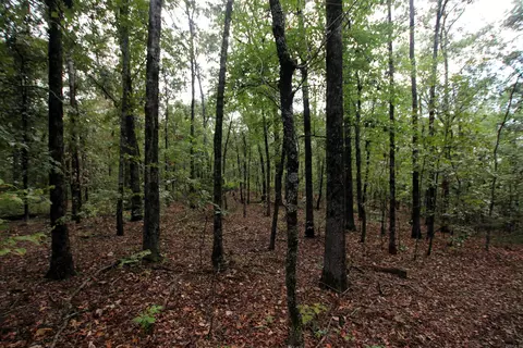 000 Charton Rd, Plumerville, AR 72127 photo 32