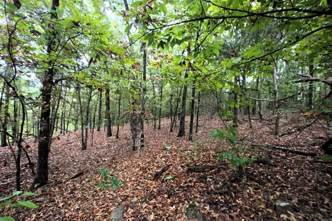 000 Charton Rd, Plumerville, AR 72127 photo 29