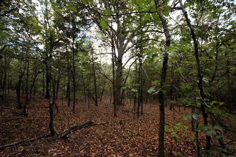000 Charton Rd, Plumerville, AR 72127 photo 24