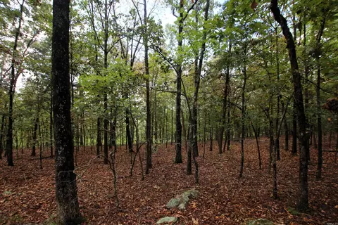 000 Charton Rd, Plumerville, AR 72127 photo 36