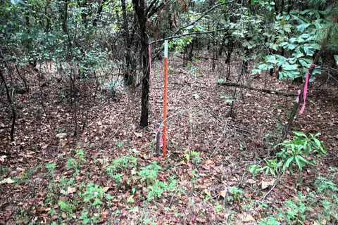 000 Charton Rd, Plumerville, AR 72127 photo 23