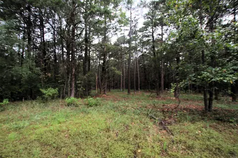 000 Charton Rd, Plumerville, AR 72127 photo 11