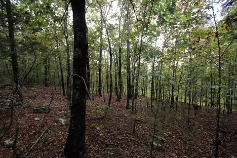 000 Charton Rd, Plumerville, AR 72127 photo 25