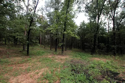 000 Charton Rd, Plumerville, AR 72127 photo 19