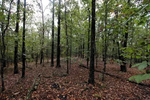 000 Charton Rd, Plumerville, AR 72127 photo 34