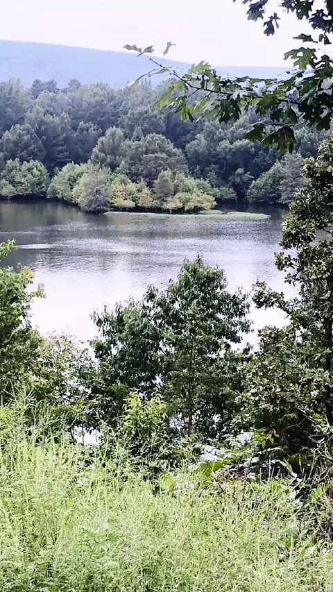 00 Eagle Dr, Perryville, AR 72126 photo 8