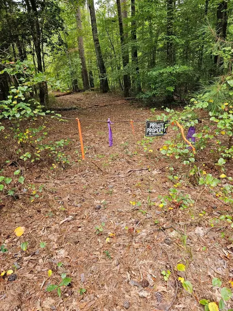 E 28 Acres Dallas 203, Carthage, AR 71725