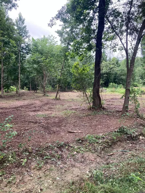 00 Cypress Loop, Vilonia, AR 72173 photo 3