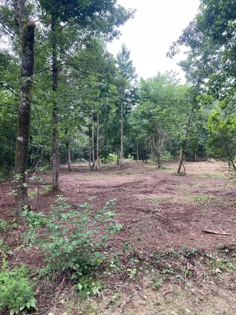 00 Cypress Loop, Vilonia, AR 72173 photo 2