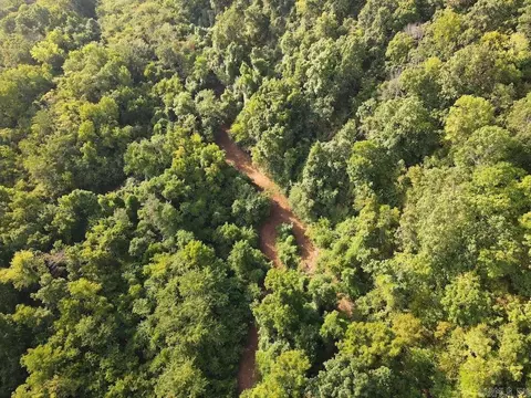 Lick Fork Road, Marshall, AR 72650 photo 23