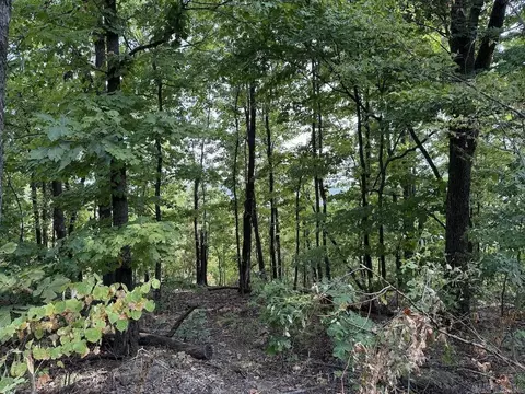 Lick Fork Road, Marshall, AR 72650 photo 37