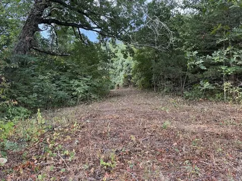 Lick Fork Road, Marshall, AR 72650 photo 35