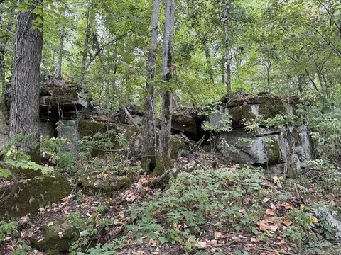 Lick Fork Road, Marshall, AR 72650 photo 43