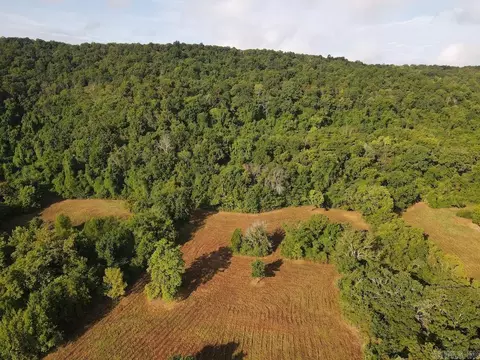 Lick Fork Road, Marshall, AR 72650 photo 15
