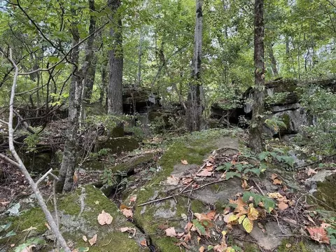 Lick Fork Road, Marshall, AR 72650 photo 42