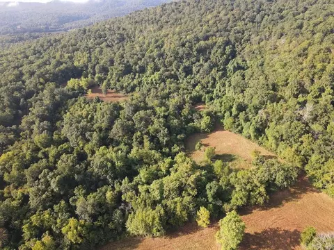 Lick Fork Road, Marshall, AR 72650 photo 5