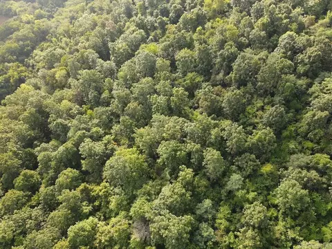 Lick Fork Road, Marshall, AR 72650 photo 27