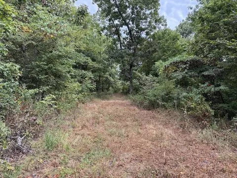 Lick Fork Road, Marshall, AR 72650 photo 45